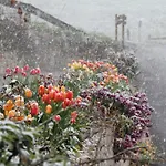 Casa Carielda 컨트리하우스