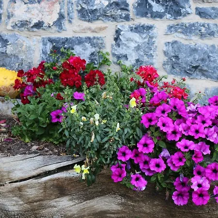 Lantställe Casa Carielda *