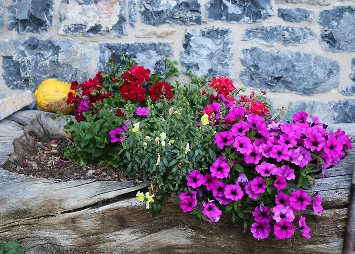 컨트리하우스 Casa Carielda *